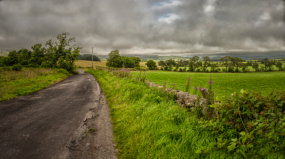 Rural road in a hilly landscape near the A711, Dumfries and Galloway, Scotland, United Kingdom