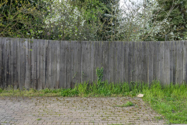 istock Blooming trees behind a garden fence 2145734860