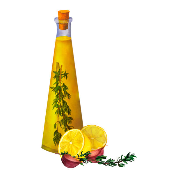 ilustrações, clipart, desenhos animados e ícones de set of bottles of flavored olive oil with spices, herbs, hot chili pepper, garlic, lemon, thyme and rosemary isolated on white background. - tempera painting paint art bottle