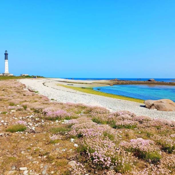 Photo taken in Finistère on the Ile de Sein, in the foreground the wild bay of the island made of clear pebbles, arid fauna and flora.\nIn the background, the large whale lighthouse typical and traditional of the Island.