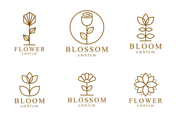 ilustraciones, imágenes clip art, dibujos animados e iconos de stock de flower in geometric linear style vector emblems set, blossoming flower hotel or boutique or jewelry logos collection, sacred geometry design elements. - cabeza de flor