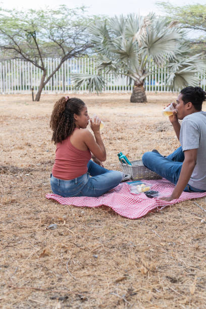istock Casual Outdoor Picnic Conversation 2145907293