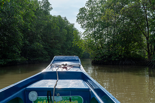 Ca Mau mangrove forest is one of the largest mangrove forests in the world. Every morning, people here use mainly composite boats to move in the canals to go to the market, go to work or transport things to other places.