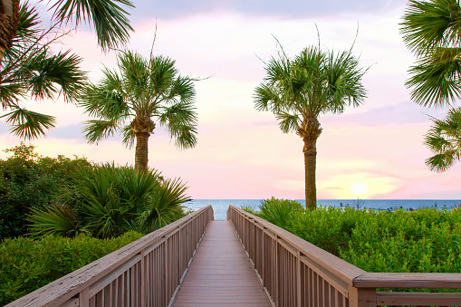 Boardwalk to the beach at sunrise- Hilton Head, South Carolina