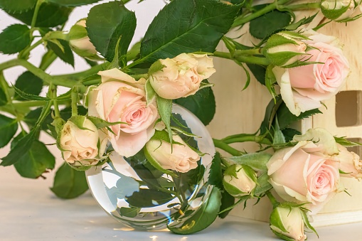 miniature roses with delicate shades of pink Polyantha surrounding a crystal ball