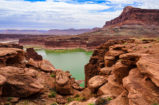 Lake Powell Overlook - Scenic expansive views of red rock canyons. Vivid green water of the Colorado River forming Lake Powell in Utah near the Hite Marina. Incredible views of recreation area.