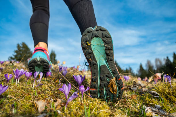 istock Close up of woman's legs running up. 2146057394