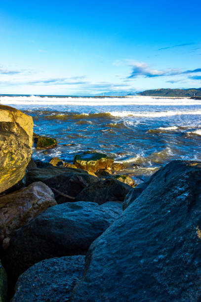 istock Morning On the Jetty 2146073727