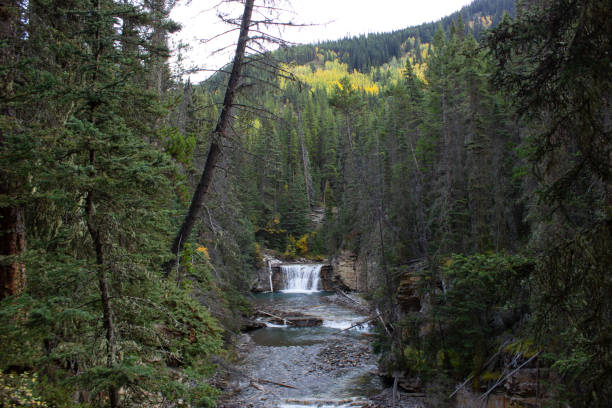 istock Waterfall in Johnston Canyon, Rocky Mountains, Canada. 2146101858