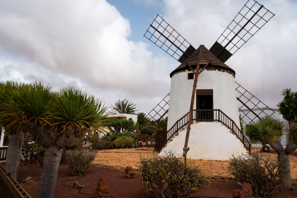 A windmill is in a field with trees and bushes