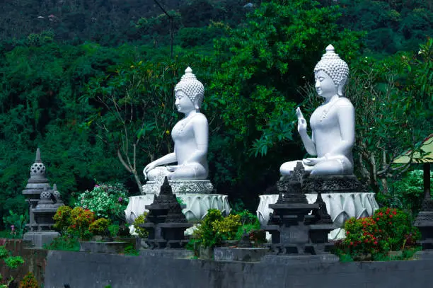 Three-Quarter Angle View Of White Buddha Statues Seated Atop Lotus Flower In Front Of Flower Garden At Buddhist Temple