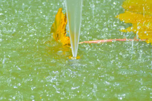 Close-Up View Of Freshness Water Splashes On The Surface Of The Fountain Lotus Pond