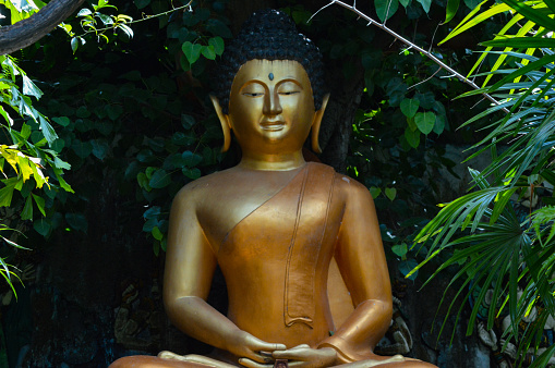 Close-Up View Of Golden Buddha Samadhi Statue Under The Tree Amidst Foliage And Plants