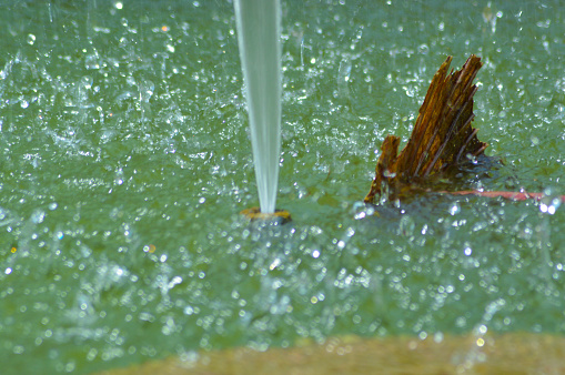Close-Up View Of Water Splashes On The Surface Of The Pond Fountain In The Lotus Pond Garden