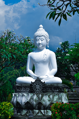 Portrait Front View Of White Buddha Statue Seated On Lotus Flower Amidst Flowering Plants In The Buddhist Temple