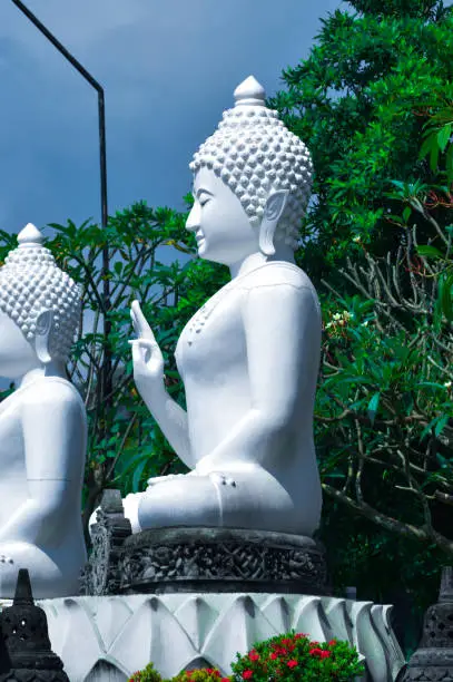 Portrait Side View Of White Buddha Statues Seated Atop Lotus Flower In Front Of Flower Garden At Buddhist Temple