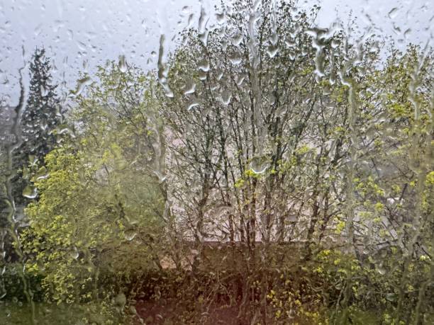 istock Rain drops on window glasses surface with cloudy background . Natural Pattern of raindrops isolated on cloudy background. 2146170173