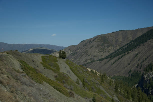 Mountain landscape of Kazakhstan, Almaty. Beautiful mountain snowy peaks, horses, cows, a village in the mountains, the life of local residents, a mountain lake, green trees, dogs against the backdrop of mountains, wonderful weather, a cold lake.