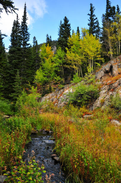 A mountain creek surrounded by early fall foliage on the hike to Dream Lake, Rocky Mountain National Park, Estes Park, Colorado, USA.
