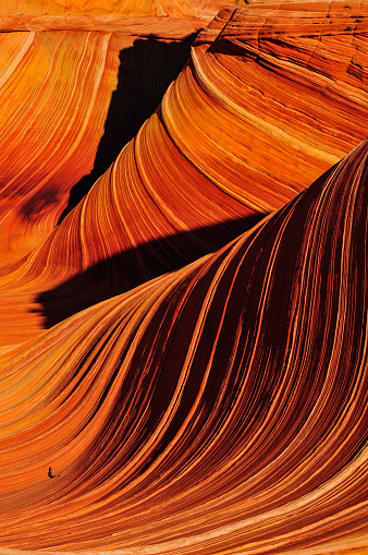 Detail of The Wave sandstone formation at sunrise, Coyote Buttes North, Vermilion Cliffs National Monument, Arizona, USA.