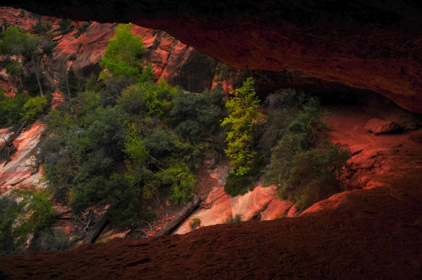 An alcove on the Canyon Overlook trail above the narrow and deep Pine Creek Canyon, Zion National Park, Utah, Southwest USA.
