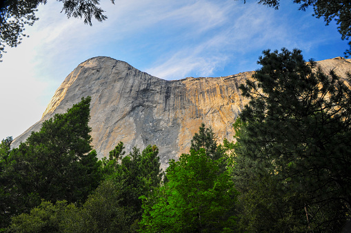 The famous sheer rock face of El Capitan and the woods below, Yosemite National Park, California, USA.