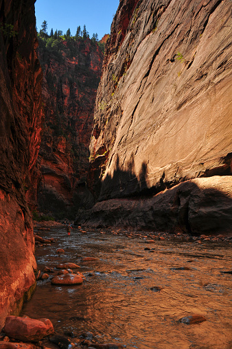 A sunny late morning on the lower reaches of the Narrows of the Virgin River, Zion National Park, Utah, Southwest USA.