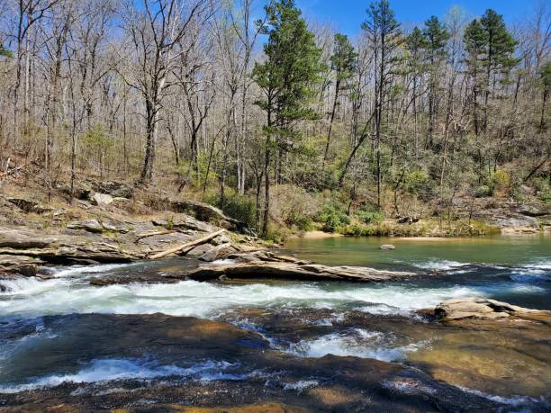 istock Scenic River, White Foam, Large Rocks, Clear Sky, Spring Forest Background 2146260011