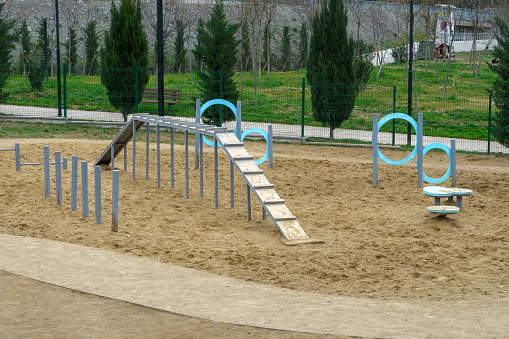 Dog training playground including a ramp and hoops, set up in a sand-covered area at a public park.