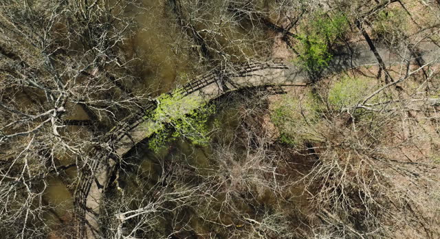Wet-Soil Wetlands With Hardwood Forest Trees In Bell Slough State Wildlife Management Area, Arkansas, USA. Aerial Drone Shot