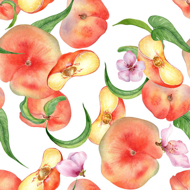 watercolor flat peaches with leaves and flowers seamless pattern isolated on white. fruits and flowers pattern painted. chines fig peaches hand drawn. design element for package, skin care cosmetic - nectarine peach backgrounds white stock illustrations