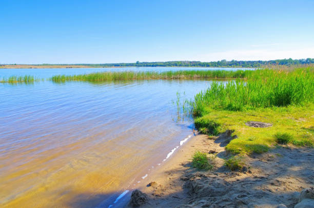 Graebendorfer Lake in Lusatian Lake District on a sunny day, Germany
