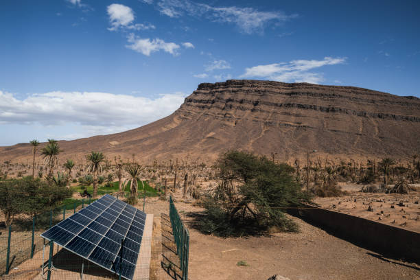 istock Solar panels in a palm grove 2146483778
