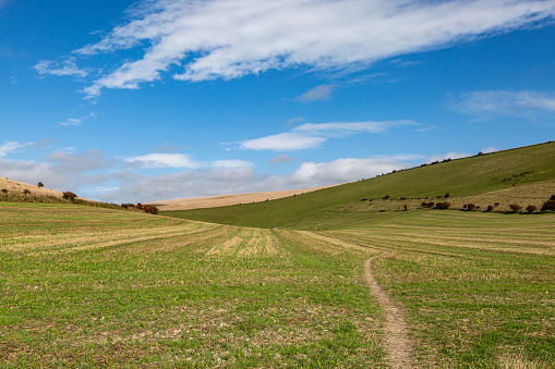 Looking across fields in the South Downs, with a blue sky overhead