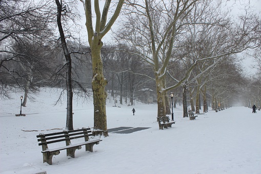 People walking through Riverside Park during a winter storm in January 2024 in Manhattan, New York City