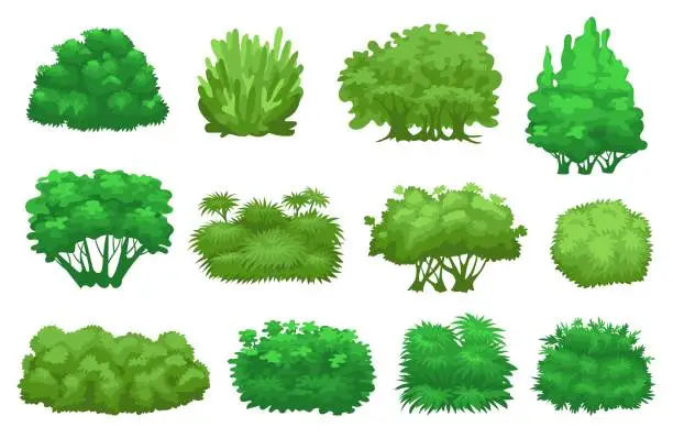 Vector illustration of Cartoon green summer bushes. Garden plants. Shrubbery tree different shapes. Eco decorative landscape elements. Hedge with branches and foliage leaves. Natural shrubs. Splendid vector set