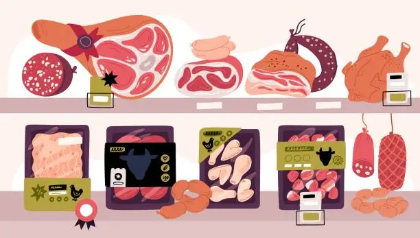 Vector illustration of Butcher shop showcase. Store shelves with meat products. Butchery assortment. Market stand with farm food containers. Beef and pork pieces in vacuum wrap packaging. Garish vector concept