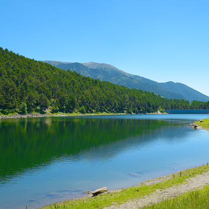 Early morning on the shore of a picturesque lake.