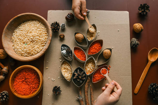 Montessori and Sensory Development, A child sorts cereals by color.