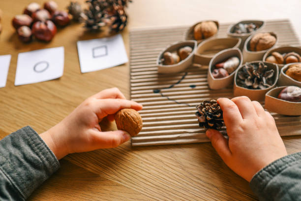 istock Montessori and Sensory Development, A child plays with natural materials 2146719441