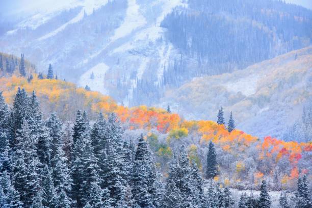 istock Harmony of Seasons 2146726888