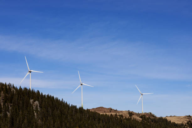 istock Three windmills on a wooded mountain against a blue sky. 2146738157