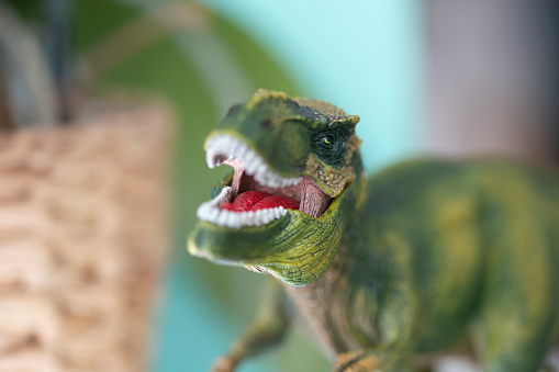 Tyrannosaurus rex fierce with open mouth jaws close up
