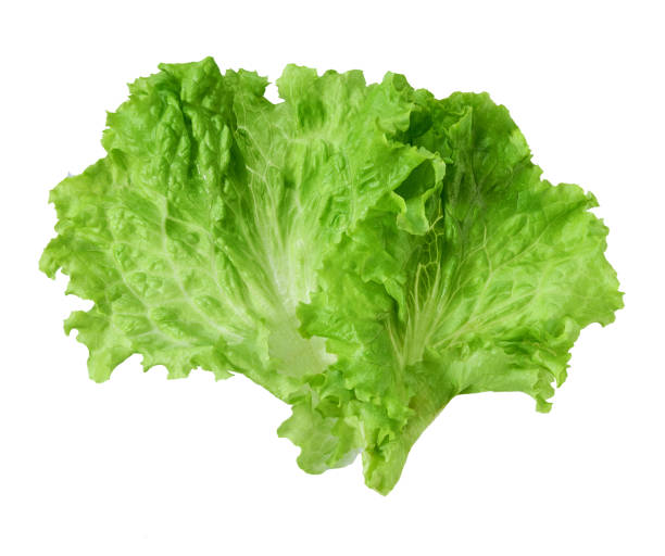 istock Fresh lettuce, one leaf isolated on a white background, close-up. Top view. 2146791449