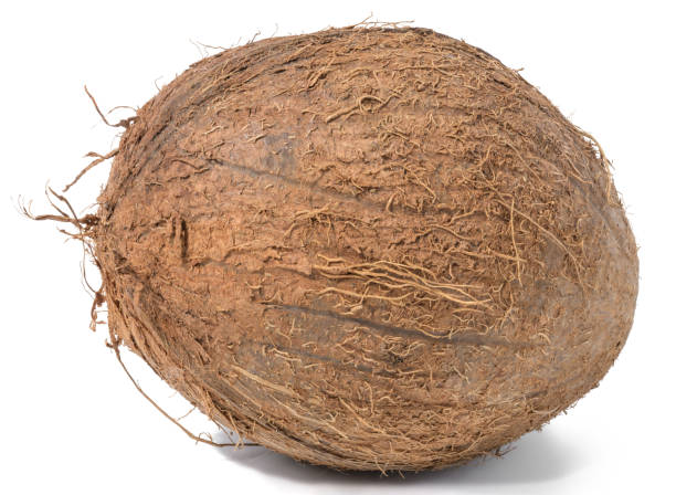 istock Whole round coconut on white isolated background 2146798153