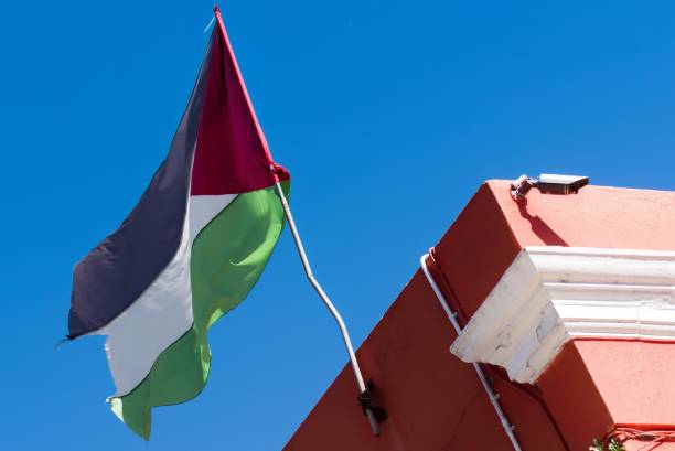istock Palestine flag waving against clean blue sky 2146822407