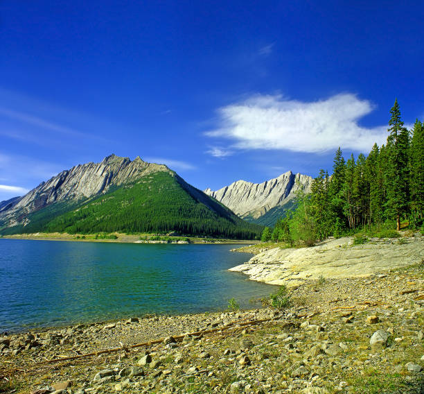Opal Hills, Jasper National Park of Canada, Alberta - UNESCO World Heritage Site