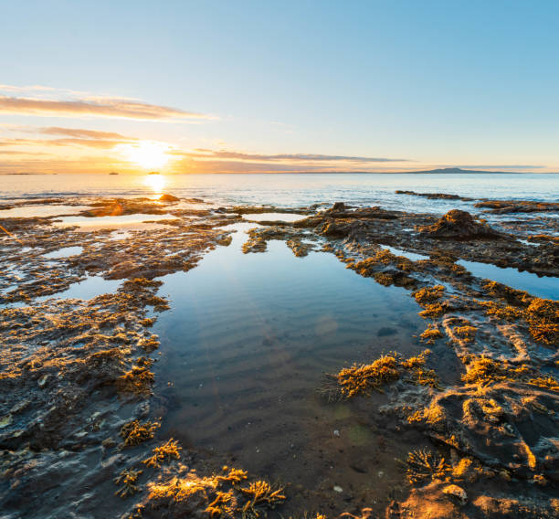 Coastal charms, embracing island delights.