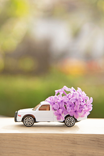 Toy car delivering flowers