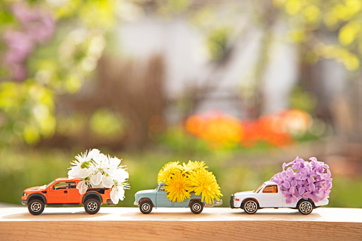 Toy cars delivering flowers